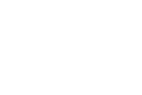 Andbus Travel service Vip